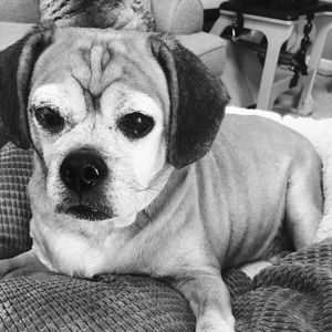 Meet your Posher, Rylie